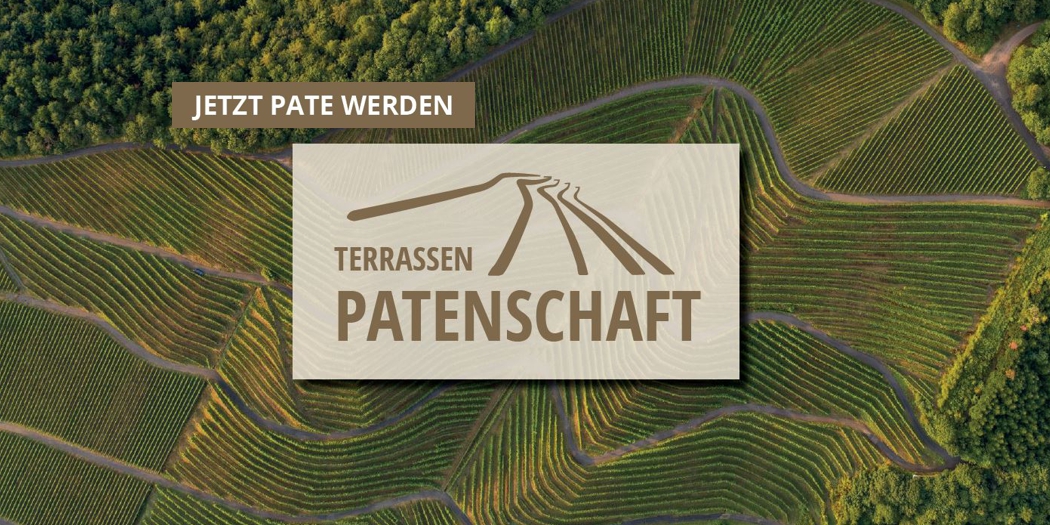 Weinpatenschaft Terrassenweinberg